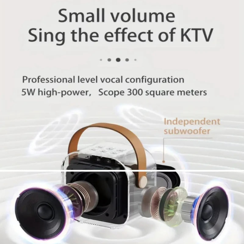 Portable Bluetooth Karaoke Speaker with Dual Wireless Mics RGB LED Lights & Rechargeable Battery for High-Quality Sound